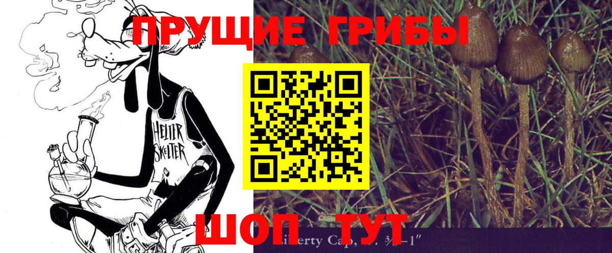 Галлюциногенные грибы MAGIC MUSHROOMS  Псилоцибиновые грибы MAGIC MUSHROOMS  Азнакаево  Вход с VPN 